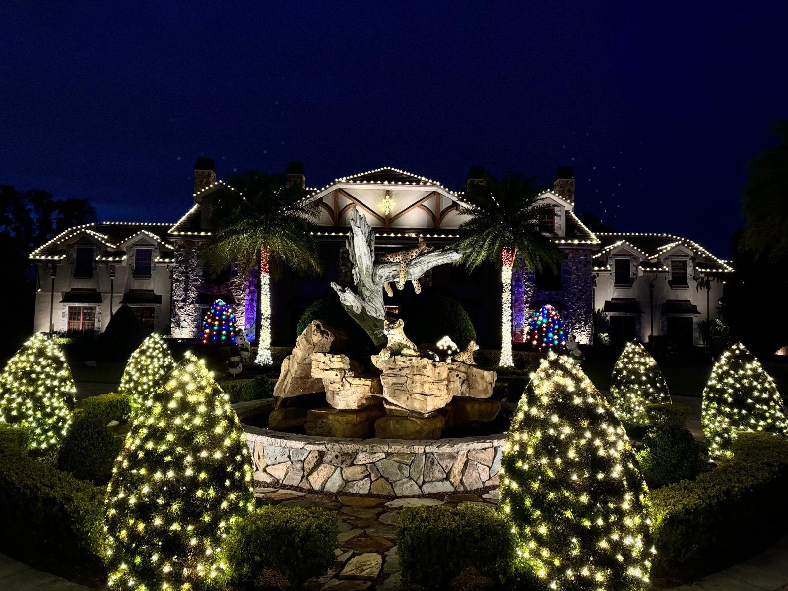 Northern Lights Florida lighting project 22
